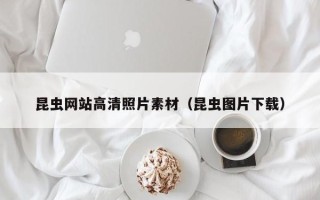 清镇昆虫网站高清照片素材（昆虫图片下载）